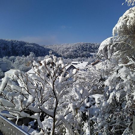 Апартаменти Blick Ins Wutachtal Wutoschingen Екстер'єр фото