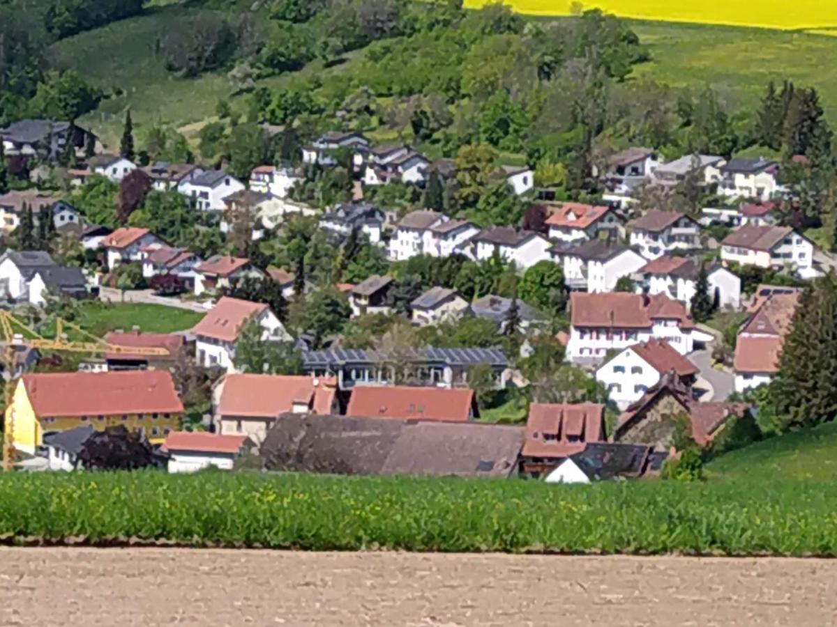 Апартаменти Blick Ins Wutachtal Wutoschingen Екстер'єр фото
