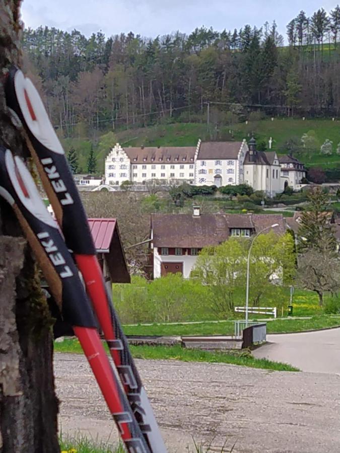 Апартаменти Blick Ins Wutachtal Wutoschingen Екстер'єр фото